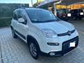 Fiat Panda 1.3 MJT 16V 4x4 75CV SOLO 20000KM GARANTITI Bianco - thumbnail 2