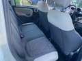 Fiat Panda 1.3 MJT 16V 4x4 75CV SOLO 20000KM GARANTITI Bianco - thumbnail 9