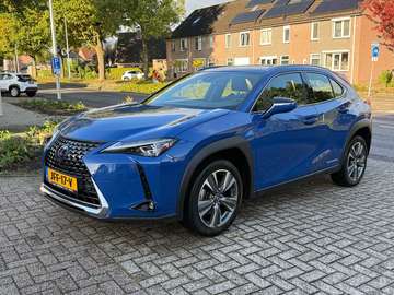 Executive Mark Levinson 18 inch