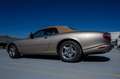 Jaguar XK8 Cabrio Bronz - thumbnail 9