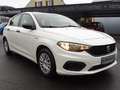 Fiat Tipo Tipo 1,4 16V 95 Pop Pop Weiß - thumbnail 3