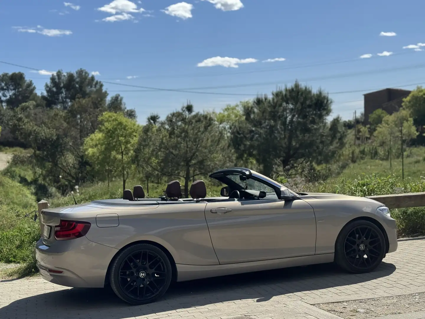 BMW 218 218dA Cabrio - 2