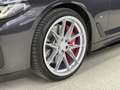 BMW 530 d 48 V Aut. Grau - thumbnail 15