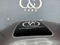 BMW 530 d 48 V Aut. Grau - thumbnail 19