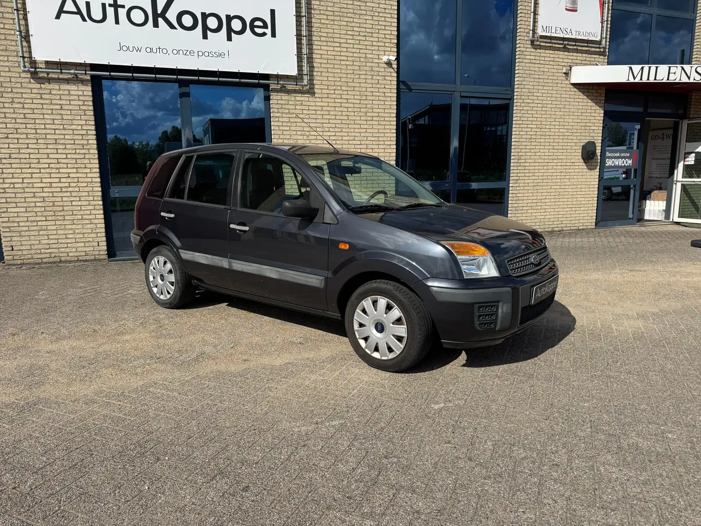 Ford Fusion 1.4-16V Cool Gris - 2