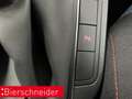 SEAT Ibiza 1.5 TSI FR NAVI KAMERA PDC VO HI. VIRT SHZ Rot - thumbnail 33