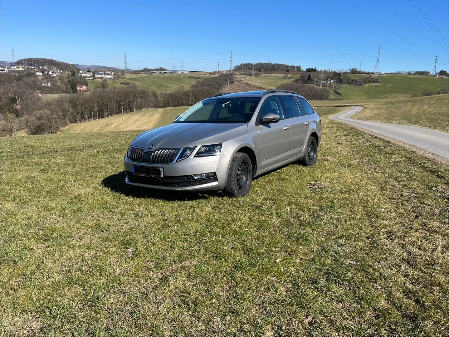 Skoda Octavia Clever 4x4 Beige - 2