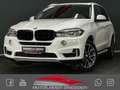 BMW X5 3.0 xD VIRTUALC#HUD#SH#LED#AHK#CAM#SHZ#TÜVNEU bijela - thumbnail 1