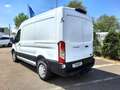 Ford Transit 350 L2H2 Lkw Trend (V363) AHK Weiß - thumbnail 7