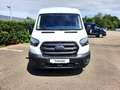 Ford Transit 350 L2H2 Lkw Trend (V363) AHK Weiß - thumbnail 2