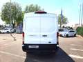 Ford Transit 350 L2H2 Lkw Trend (V363) AHK Weiß - thumbnail 6