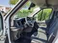 Ford Transit 350 L2H2 Lkw Trend (V363) AHK Weiß - thumbnail 10