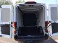 Ford Transit 350 L2H2 Lkw Trend (V363) AHK Weiß - thumbnail 13