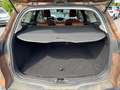 Ford Focus 1.6 TDCi *TITANIUM*HÄNDLER*EXPORT* Braun - thumbnail 9