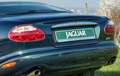 Jaguar XK 8 Coupe 2 Jahre Garantie zelena - thumbnail 38