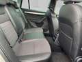 Skoda Octavia Combi 2.0 TDI Green tec DSG Elegance Beige - thumbnail 14