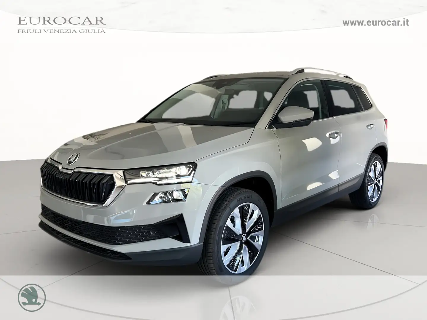 Skoda Karoq 2.0 tdi style 150cv dsg Grigio - 1