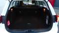 Ford Focus Turnier Vignale 1.5 TD, 1.Hand, HUD Blanc - thumbnail 6