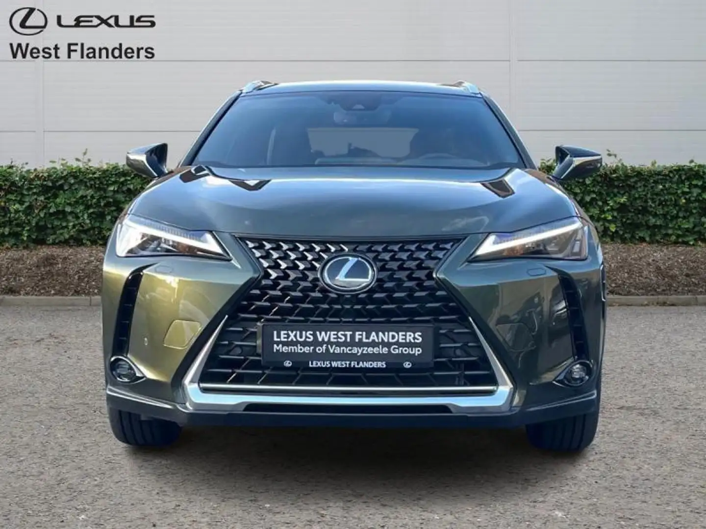 Lexus UX 250h Executive Line+camera+sensoren Verde - 2