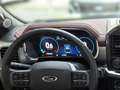 Ford F 150 F-150 5,0L Ti-VCT V8 SuperCrew Lariat FX4 Grau - thumbnail 14