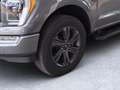 Ford F 150 F-150 5,0L Ti-VCT V8 SuperCrew Lariat FX4 Grau - thumbnail 6