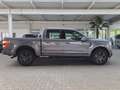 Ford F 150 F-150 5,0L Ti-VCT V8 SuperCrew Lariat FX4 Grau - thumbnail 28