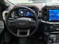 Ford F 150 F-150 5,0L Ti-VCT V8 SuperCrew Lariat FX4 Grau - thumbnail 12