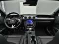 Ford Mustang Mach1 V8 460PS/Alu Y-Design/Navi Black - thumbnail 14