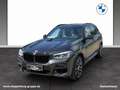 BMW X3 xDrive20i M Sport Head-Up HiFi LED WLAN Shz Gris - thumbnail 1