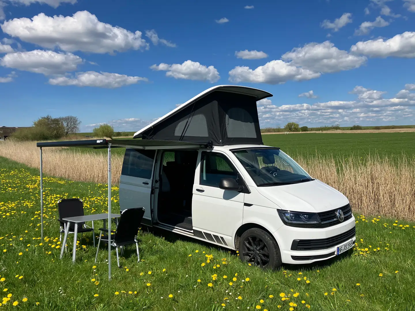 Volkswagen T6 California Beach Weiß - 1