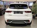Jaguar E-Pace HYBRID1.5 T AWD P300e R-DYNAMIC,FULL,GARANTIE 1 AN Blanc - thumbnail 5