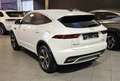 Jaguar E-Pace HYBRID1.5 T AWD P300e R-DYNAMIC,FULL,GARANTIE 1 AN Blanc - thumbnail 6