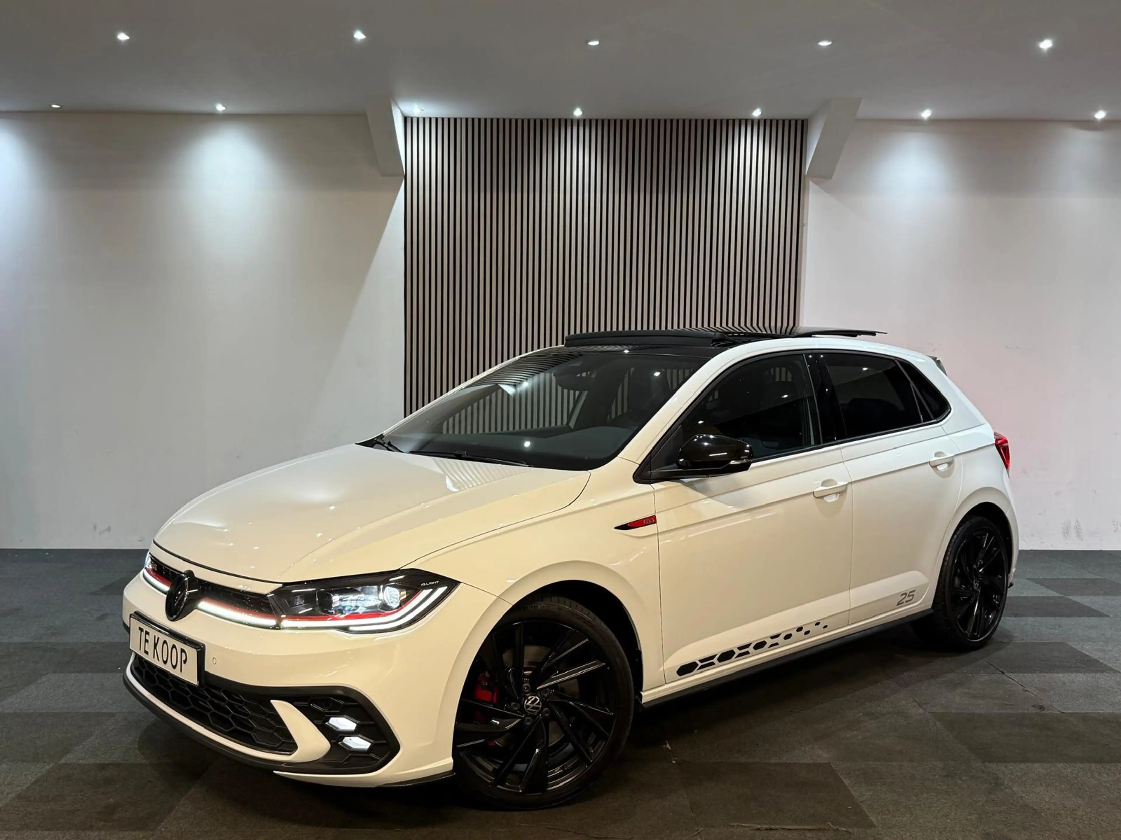 Volkswagen Polo GTI 2.0 TSI 25 Edition Pano l Camera l IQ l Leder l Ke