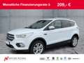 Ford Kuga 2.0 TDCi COOL  NAV+RFK+GRA+NSW+MFA+BT+LM17" Weiß - thumbnail 1