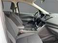 Ford Kuga 2.0 TDCi COOL  NAV+RFK+GRA+NSW+MFA+BT+LM17" Weiß - thumbnail 12