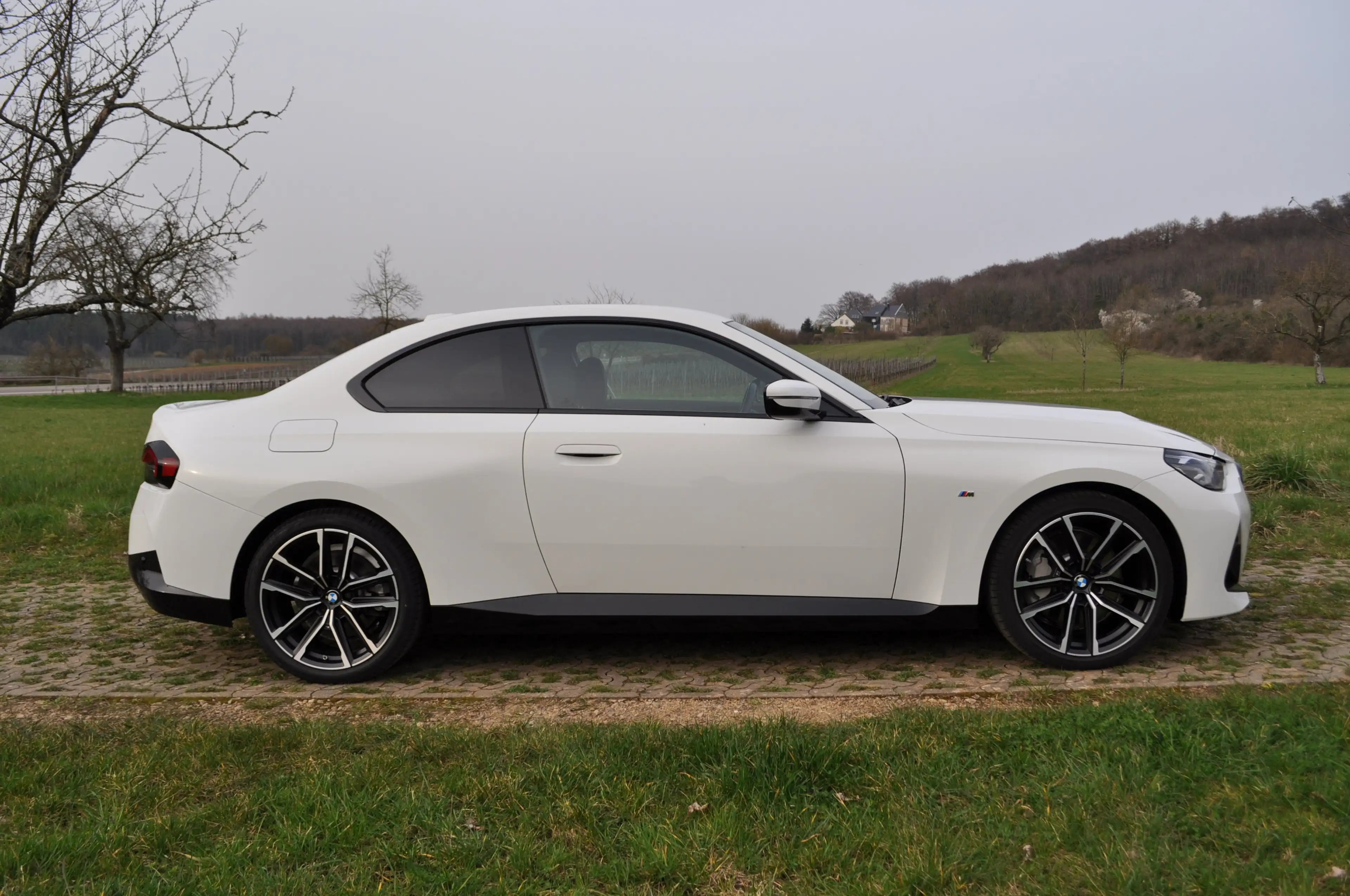 BMW 230 230i Coupe Aut. M Sport — photo 2
