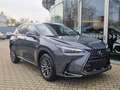 Lexus NX 350h Executive Line FLA HUD ParkAss. SpurH Grigio - thumbnail 2