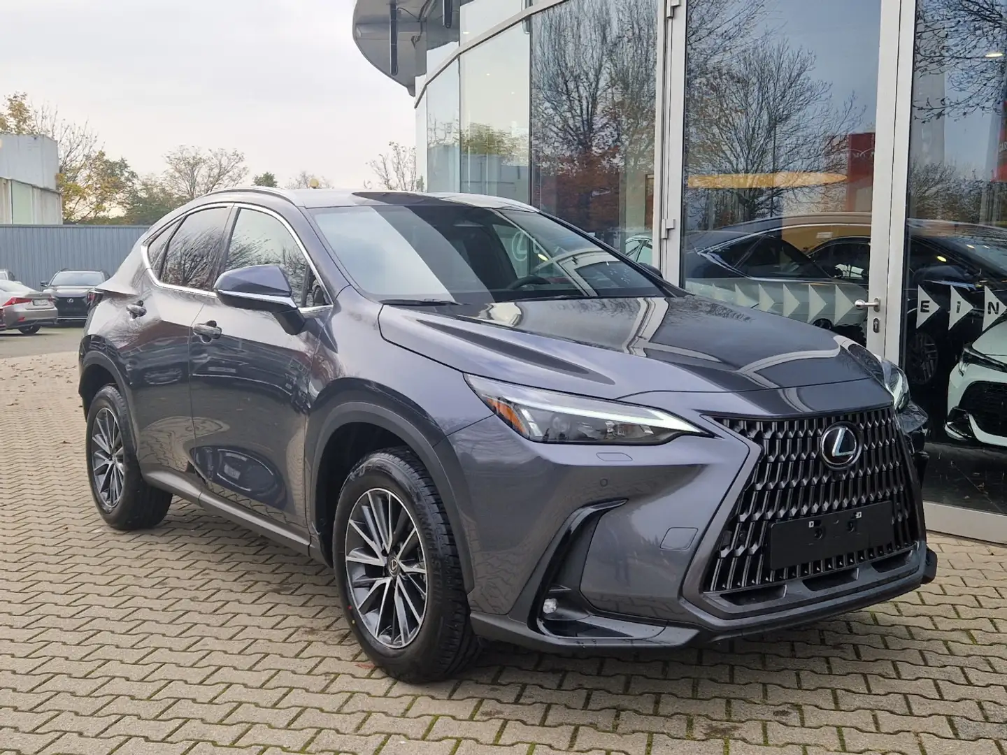 Lexus NX 350h Executive Line FLA HUD ParkAss. SpurH Grigio - 2