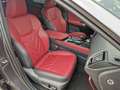 Lexus NX 350h Executive Line FLA HUD ParkAss. SpurH Grigio - thumbnail 11