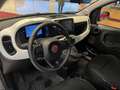 Fiat Panda 1.0 FireFly S&S Hybrid Pandina PREZZO REALE !! Grün - thumbnail 11