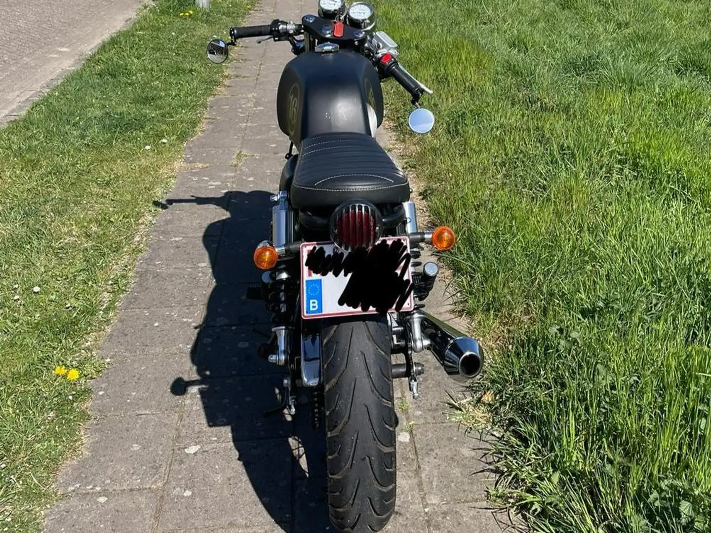 Mash Black Seven Noir - 2