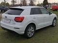 Audi Q2 Q2 30 1.6 tdi Identity Black s-tronic my20 Weiß - thumbnail 3