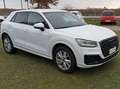 Audi Q2 Q2 30 1.6 tdi Identity Black s-tronic my20 Weiß - thumbnail 2