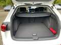 Volkswagen Golf Variant Golf Variant Goal TSi Navi LED AZV Weiß - thumbnail 11