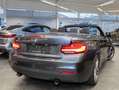 BMW 240 M240i Cabrio HK HiFi DAB WLAN Navi Prof. Shz Gris - thumbnail 2