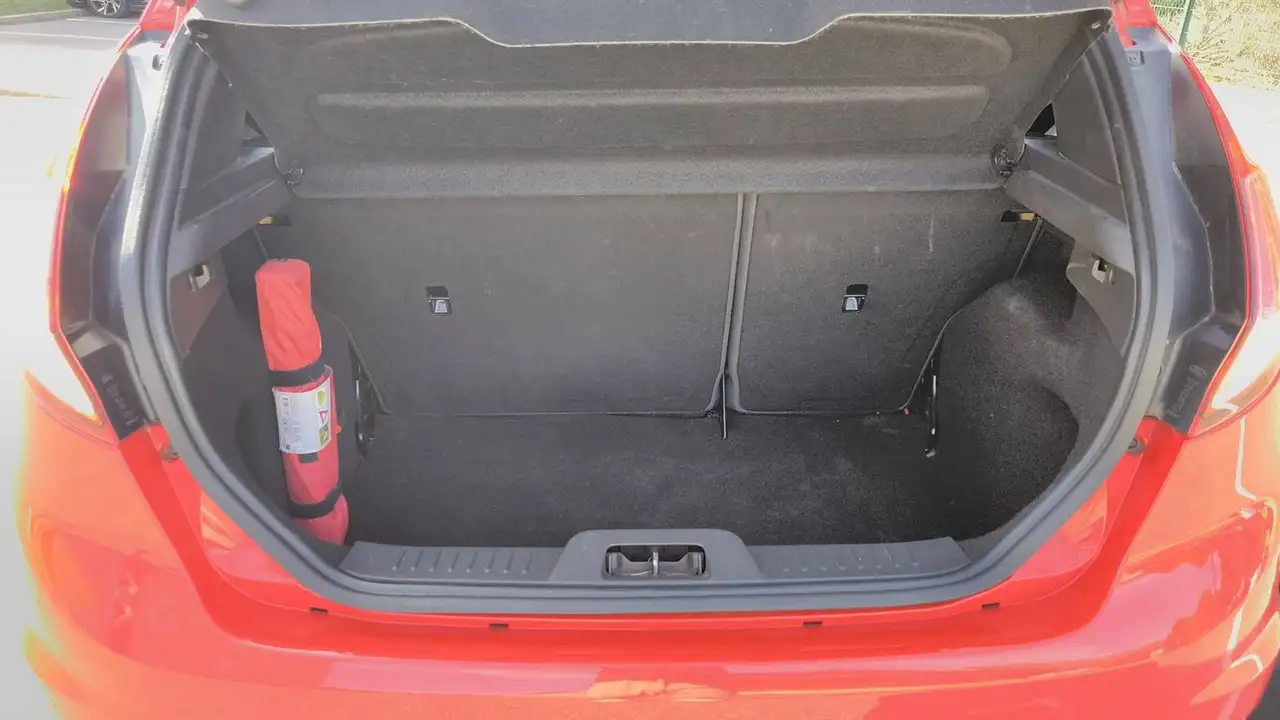 Ford Fiesta ST — photo 14