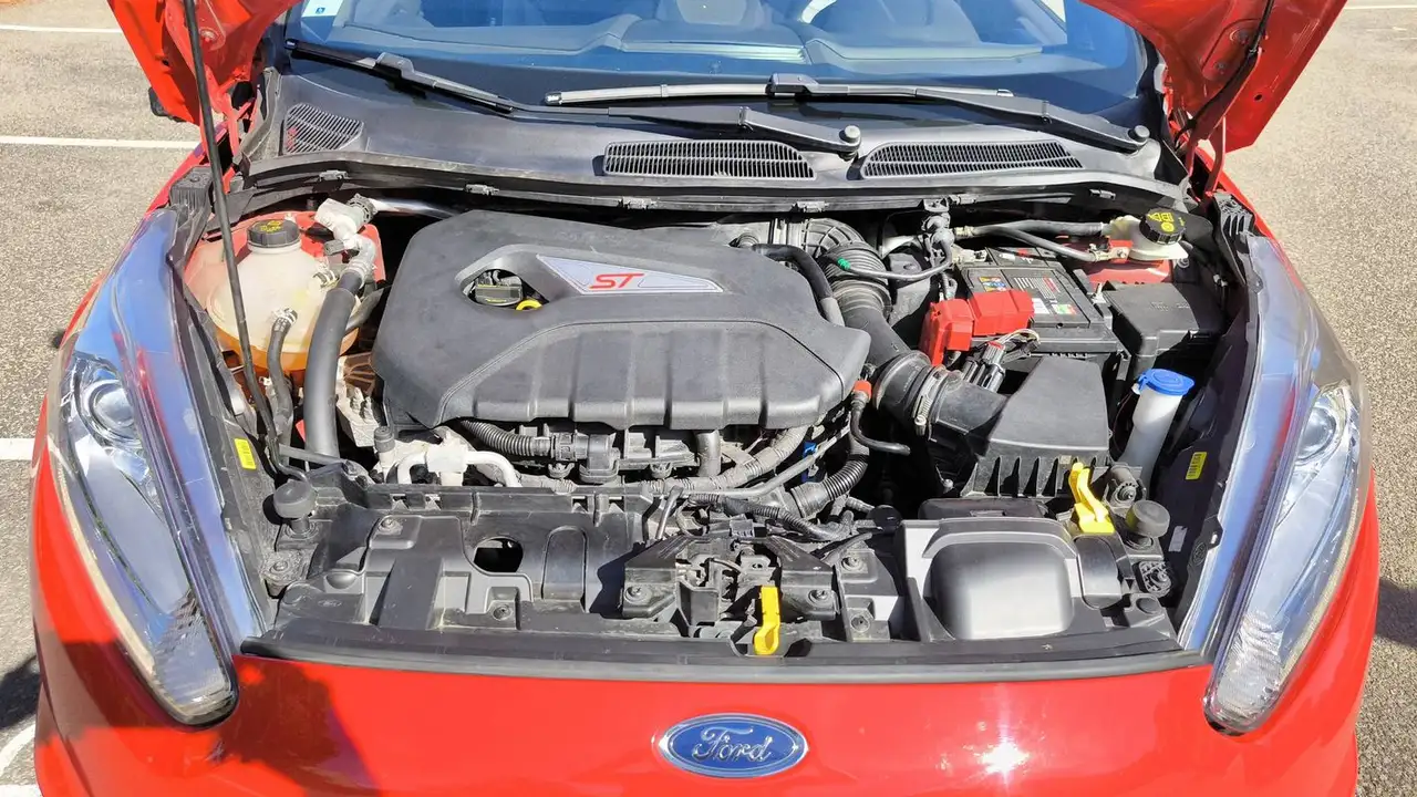 Ford Fiesta ST — photo 15