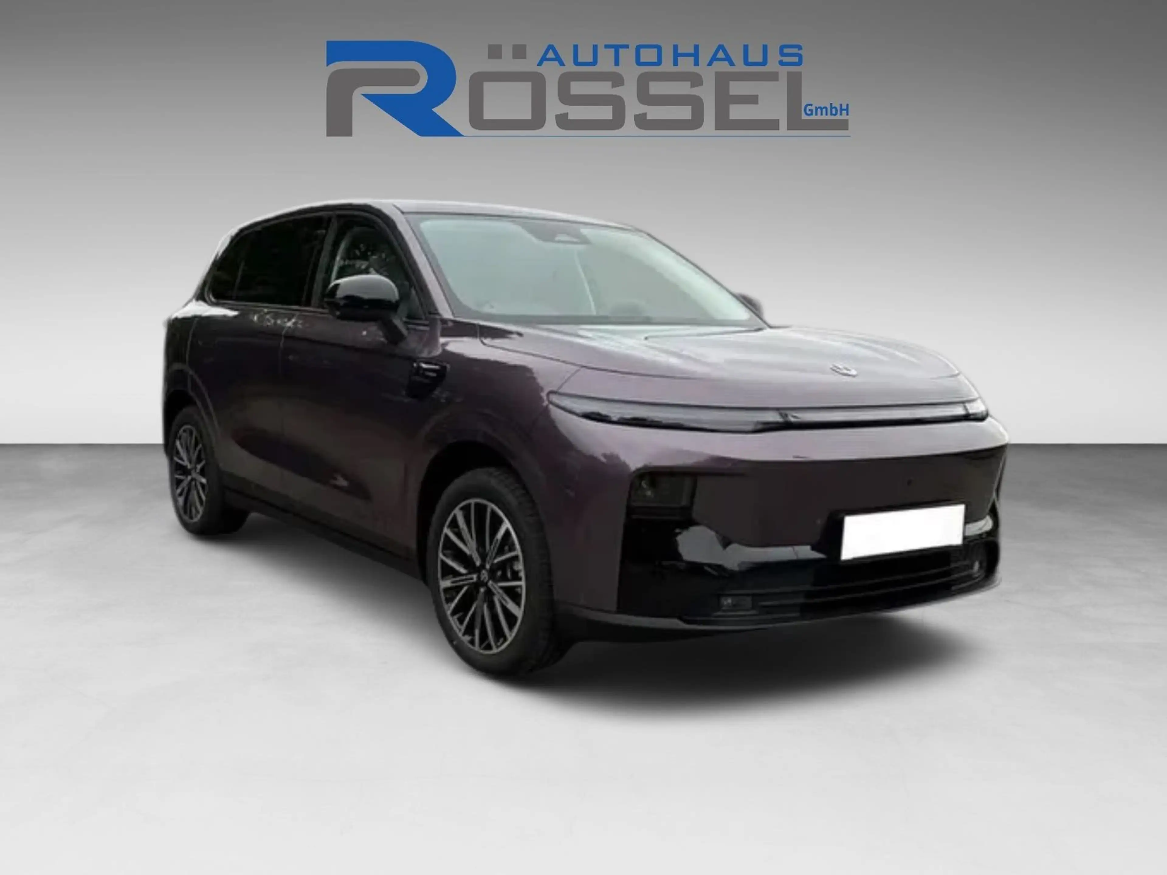 Leapmotor B10 67,1 kWh Design Pro Max 5 Jahre Garantie18" — photo 2