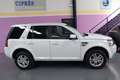 Land Rover Freelander 2.2SD4 SE Dynamic Aut. 4x4 Blanco - thumbnail 5