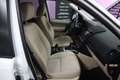 Land Rover Freelander 2.2SD4 SE Dynamic Aut. 4x4 Blanco - thumbnail 17